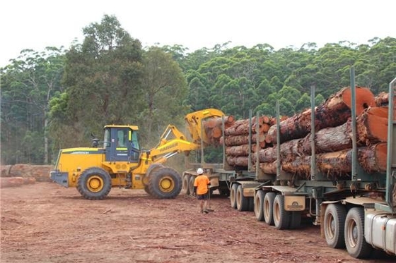 Anhebende schwere Baumaschinen des Gewichts-20000KGS mit 6Tons lassen Gewicht laufen