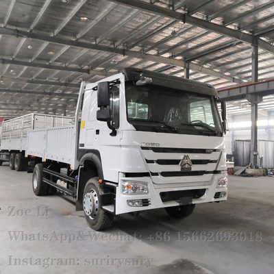 Kasten-LKW Lorry Van Goods Sinotruk HOWO Feuergebühren-des Schwergut-4x2 LKW-290HP